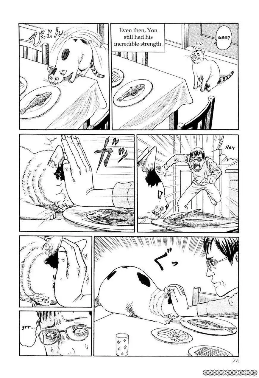 Ito Junji's Cat Diary Chapter 7 6